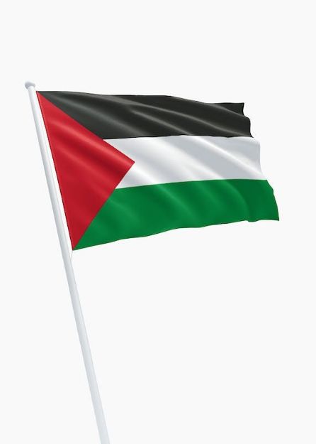 Vlag Palestina - 100x150cm Spun-Poly